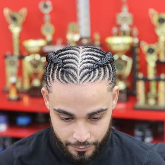 Braid Hairstyles for Black Men