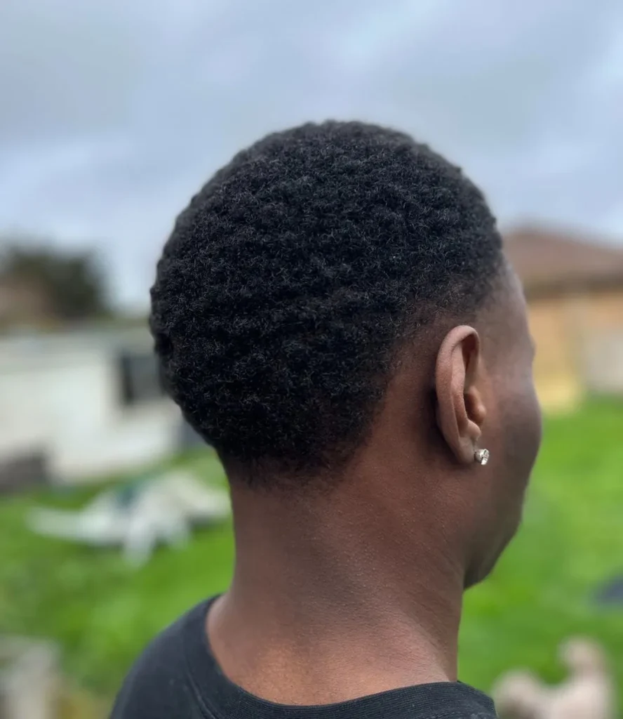 Cropped Afro with a Low Taper