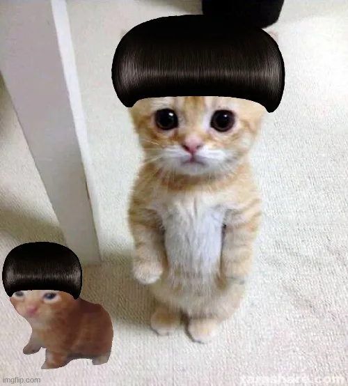 Edgar Cut Cat