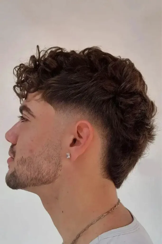 Mullet Fade Haircuts For Men